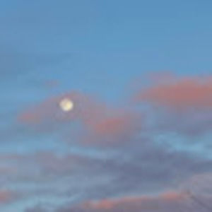 Meet your Posher, Fiona